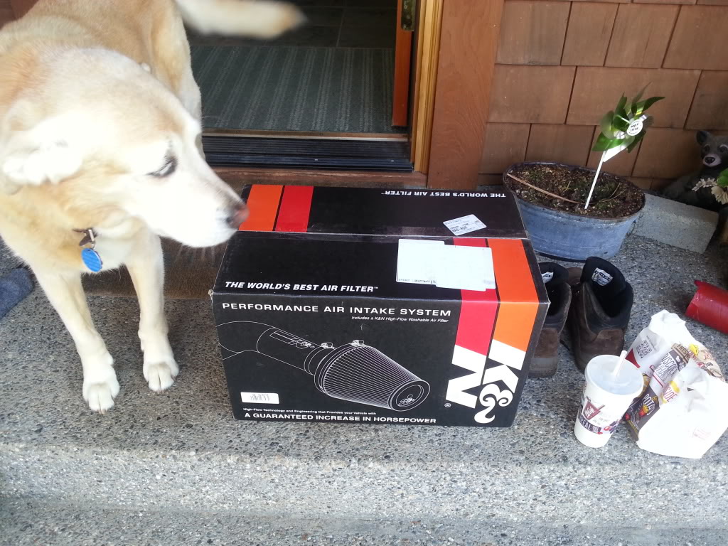 Name:  20130701_134721.jpg
Views: 109
Size:  182.9 KB