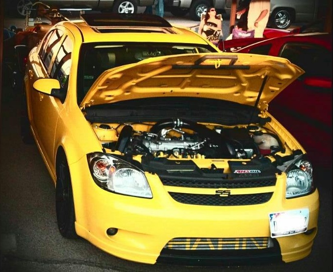 Name:  Yellowfever.jpg
Views: 36
Size:  138.6 KB