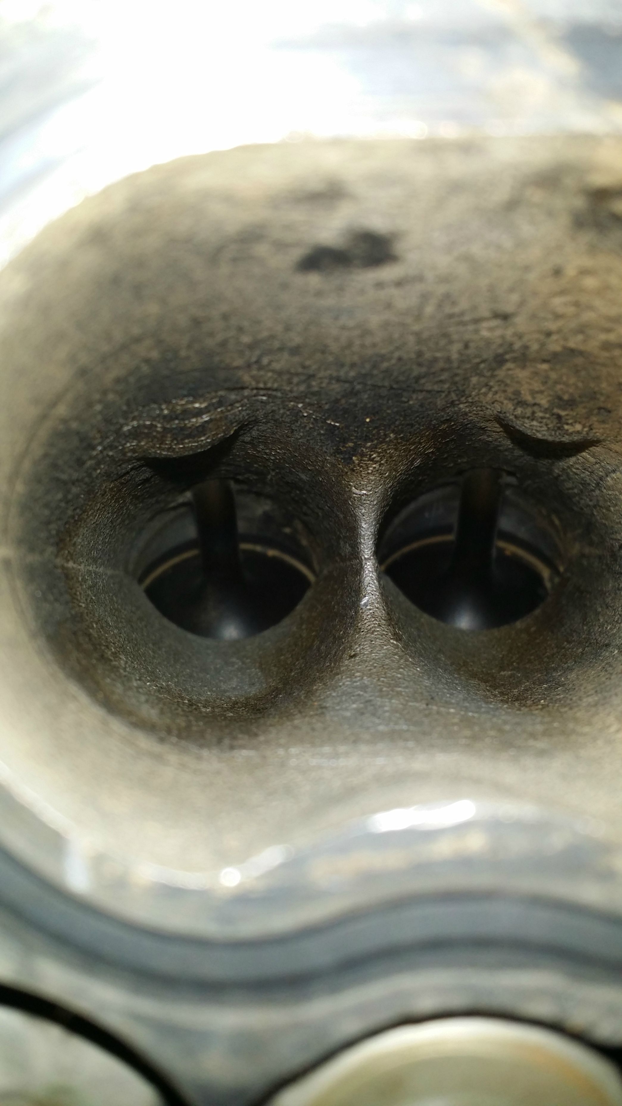 Name:  rd6Fne3.jpg
Views: 10
Size:  479.6 KB