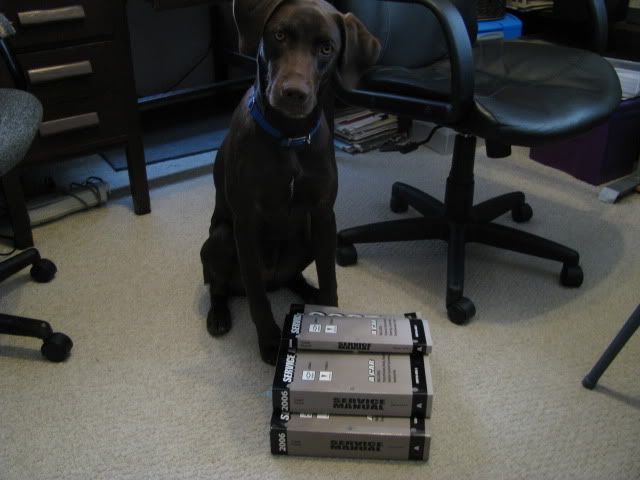 Name:  storage-cardallpictures377.jpg
Views: 8085
Size:  52.0 KB