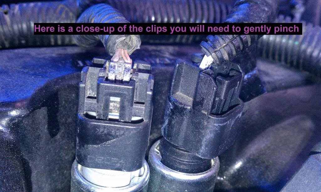 Name:  CASClipsClose.jpg
Views: 5099
Size:  106.6 KB