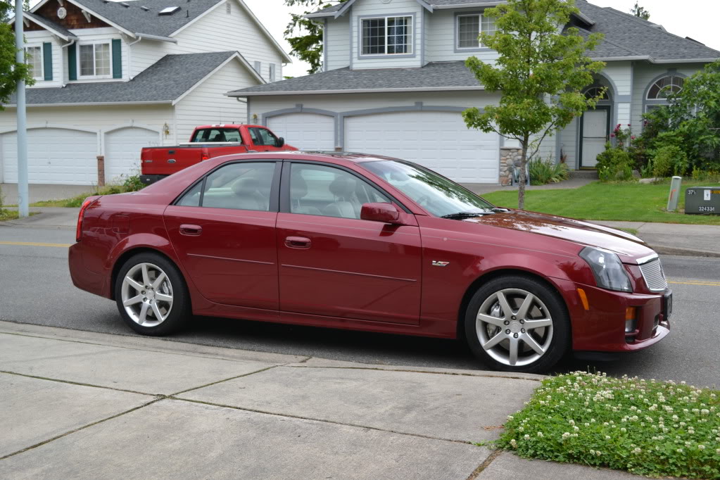 Name:  DSC_0289.jpg
Views: 41
Size:  158.5 KB