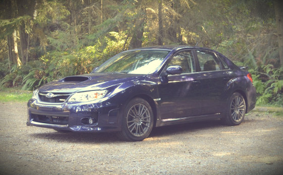 Name:  DSC_0049_zps5ee2bed0-1.jpg
Views: 33
Size:  69.3 KB