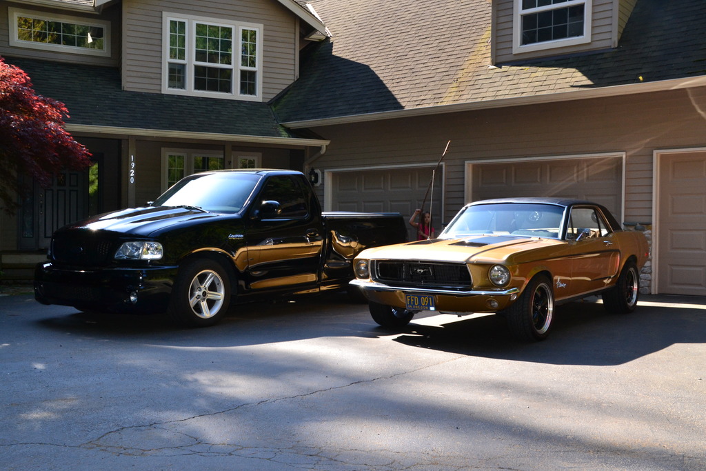 Name:  DSC_3180_zpssqjlokcz.jpg
Views: 43
Size:  278.8 KB