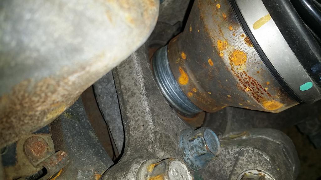 Name:  20140904_190451_zpsb9481b3b.jpg
Views: 34
Size:  87.6 KB