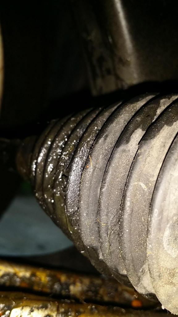 Name:  20140904_190426_zps656026ee.jpg
Views: 46
Size:  74.4 KB