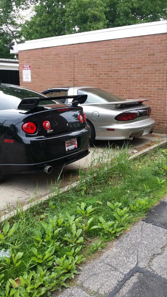 Name:  20140528_105428_zpsshr6998t.jpg
Views: 20
Size:  150.4 KB