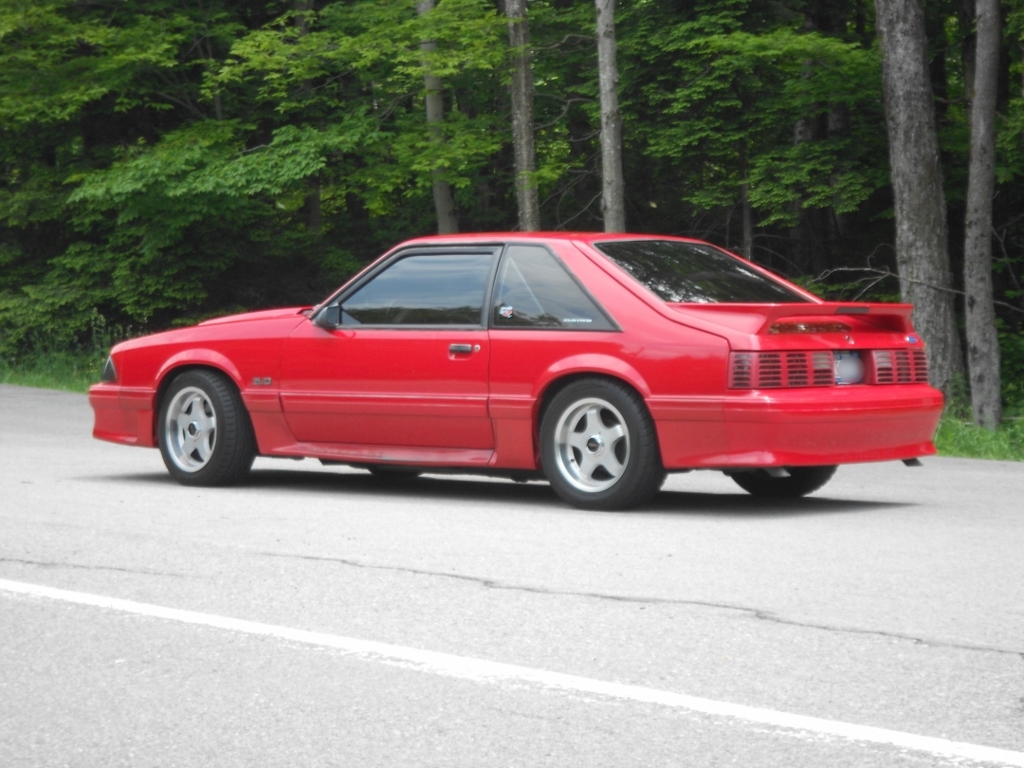 Name:  DSCN05691024x768_zpsfb7d0c6c.jpg
Views: 36
Size:  425.2 KB