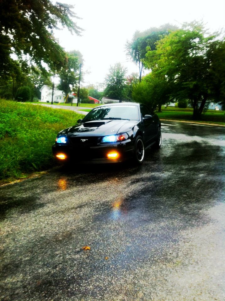 Name:  car.jpg
Views: 11
Size:  166.6 KB