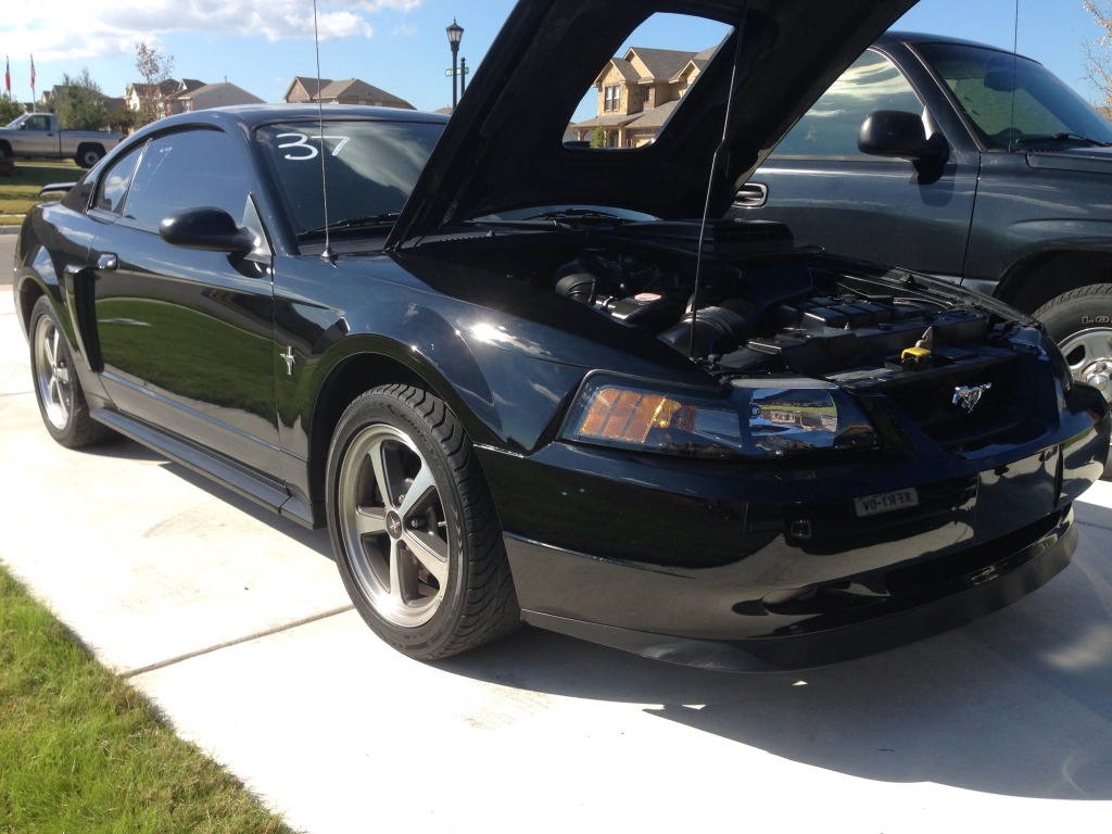 Name:  3F6B7DFF-4411-4569-B84F-87EEEC69B5F6-12868-000004442D214545_zpsb020bfcb.jpg
Views: 7
Size:  178.1 KB