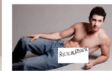 Name:  RICEBURNER_zpsaa9222d4.jpg
Views: 22
Size:  12.1 KB