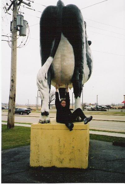 Name:  r_cow.jpg
Views: 14
Size:  39.3 KB