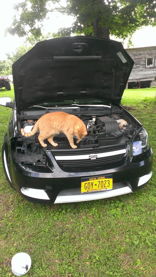 Name:  gnLhP0Z.jpg
Views: 7
Size:  108.4 KB