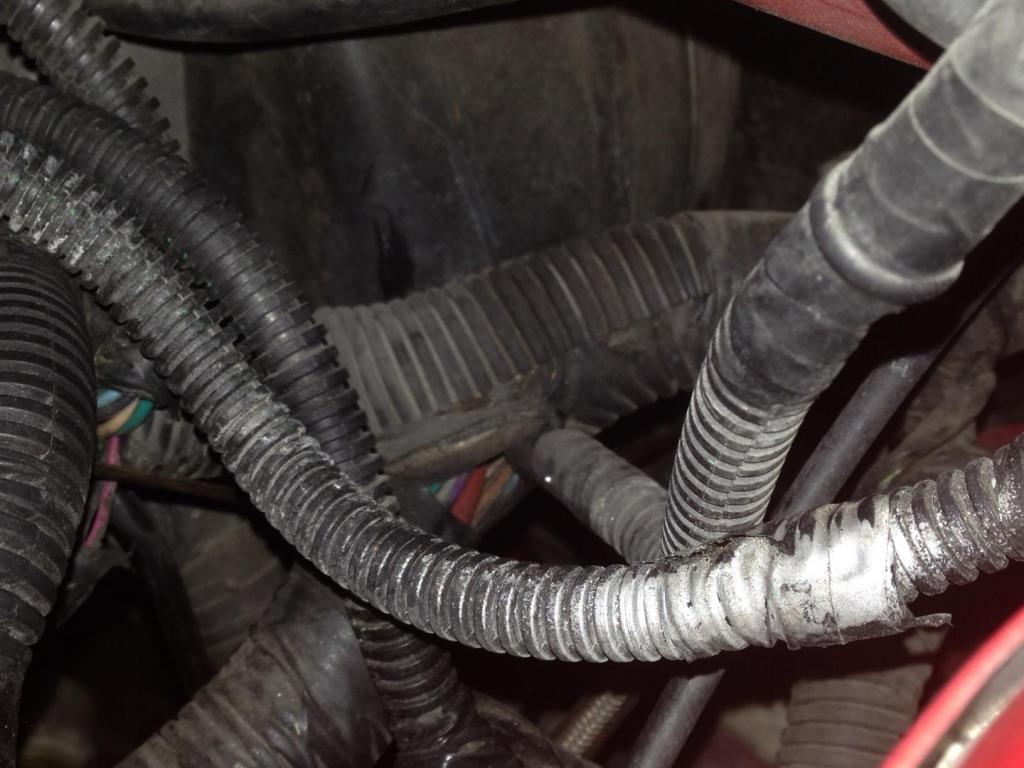 Name:  nitrous07_zpsca2ffd59.jpeg
Views: 701
Size:  88.1 KB