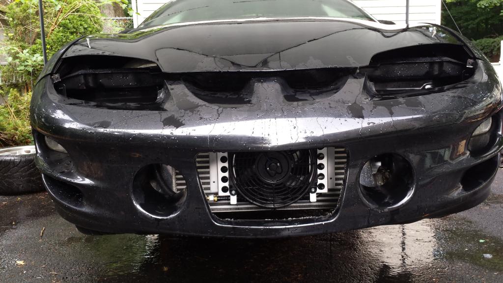 Name:  20140729_102433_zpskzeywkua.jpg
Views: 32
Size:  104.9 KB