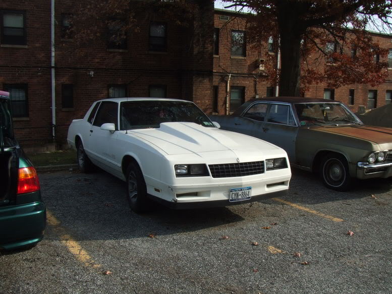 Name:  Picture071monte.jpg
Views: 14
Size:  91.2 KB