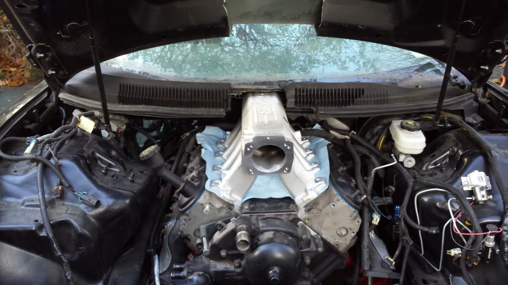 Name:  20131025_154859_zps6e631891.jpg
Views: 17
Size:  111.9 KB