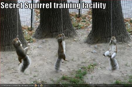 Name:  funny-pictures-secret-squirrels_zps450f43a2.jpg
Views: 20
Size:  32.5 KB