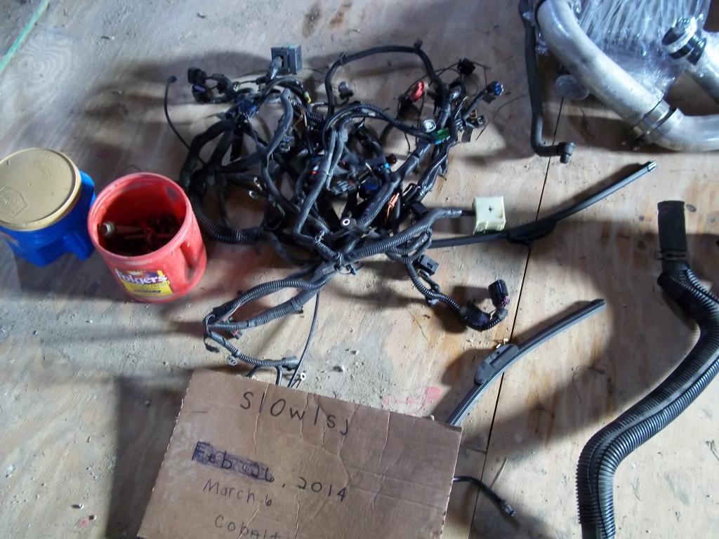 Name:  100_2557_zps86fda48d.jpg
Views: 15
Size:  114.0 KB