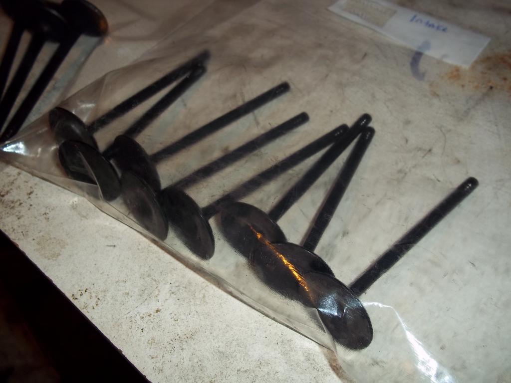 Name:  100_2605_zps08742b42.jpg
Views: 28
Size:  75.3 KB