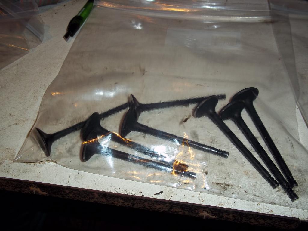 Name:  100_2606_zps0ab54dd0.jpg
Views: 32
Size:  86.2 KB