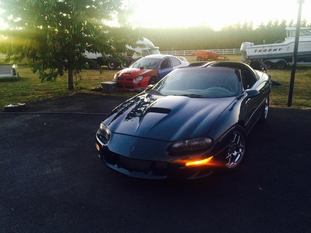 Name:  DownloadIMG953406_zpsi3hrsupy.jpg
Views: 213
Size:  90.3 KB