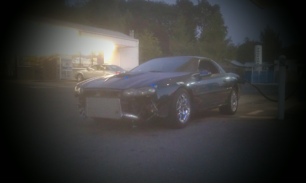 Name:  100MEDIAIMAG0567_zpsmppnp3i3.jpg
Views: 197
Size:  80.0 KB