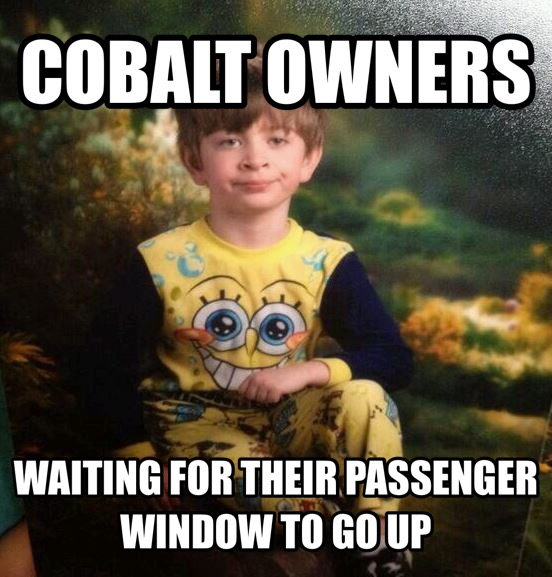 Best Meme Ever Or Nah Cobalt Ss Network