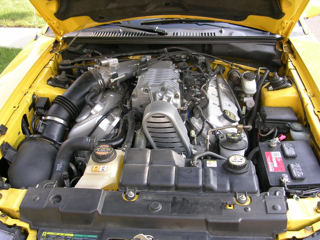 Name:  DSCN0243.jpg
Views: 259
Size:  142.7 KB