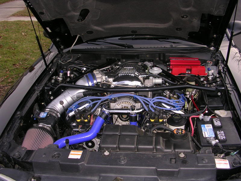 Name:  DSCN0284.jpg
Views: 230
Size:  93.2 KB