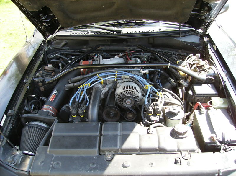 Name:  HPIM0061-1.jpg
Views: 266
Size:  140.1 KB