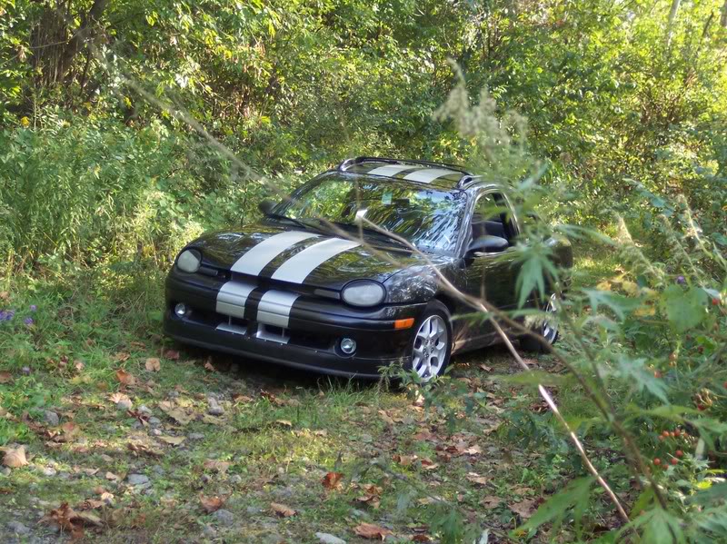 Name:  sept22016.jpg
Views: 252
Size:  179.6 KB