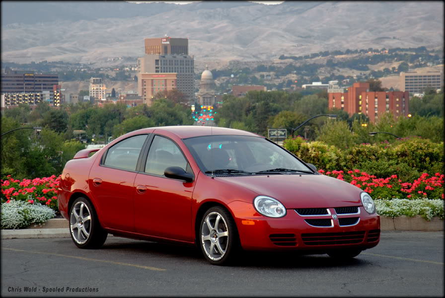 Name:  shaneon10.jpg
Views: 415
Size:  112.2 KB