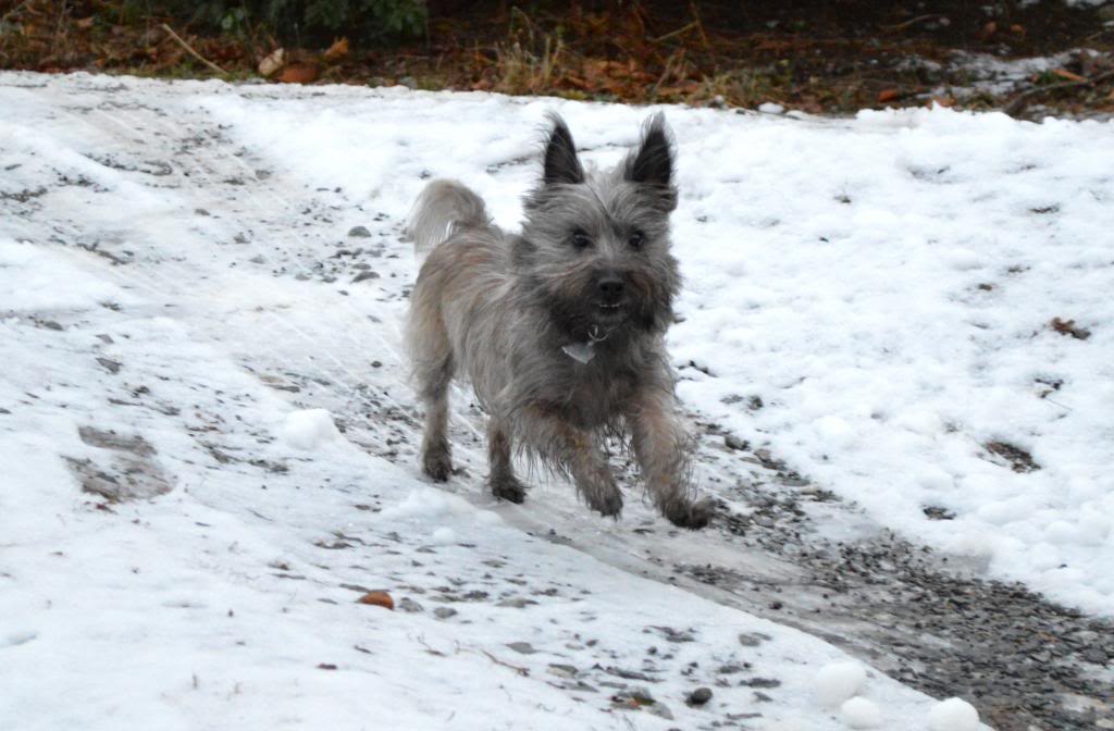 Name: DSC_0049_zpsd78577ba.jpg
Views: 98
Size: 86.0 KB