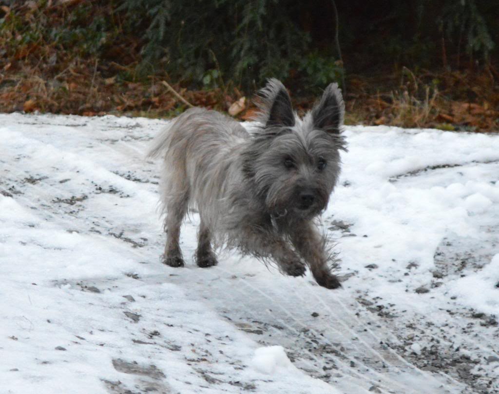 Name: DSC_0048_zpsf2bf66e4.jpg
Views: 97
Size: 94.9 KB