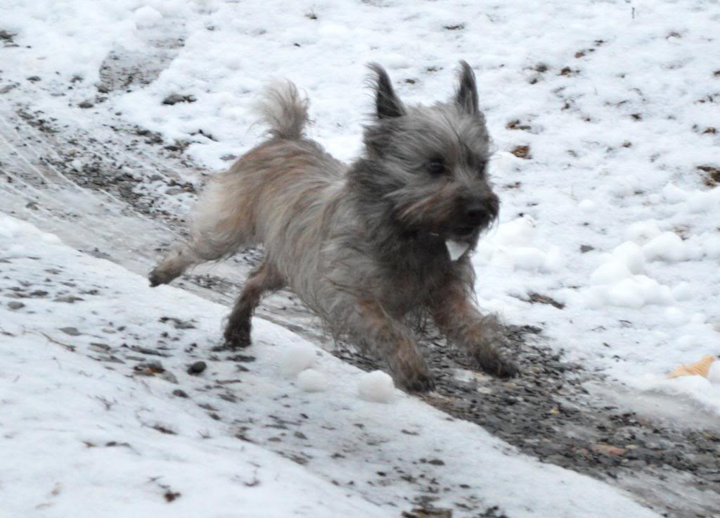 Name: DSC_0050_zps24beedd7.jpg
Views: 101
Size: 83.7 KB