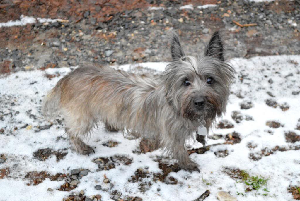 Name: DSC_0053_zps6e444d89.jpg
Views: 171
Size: 104.2 KB