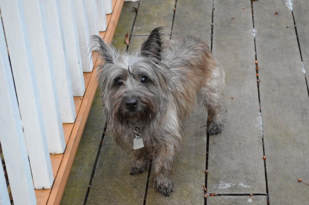 Name: DSC_0060_zps27784d0b.jpg
Views: 128
Size: 78.4 KB