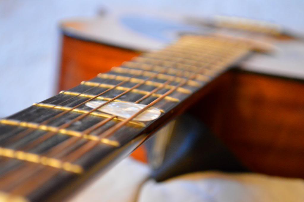 Name: DSC_0075_zps9628bba3.jpg
Views: 97
Size: 42.6 KB