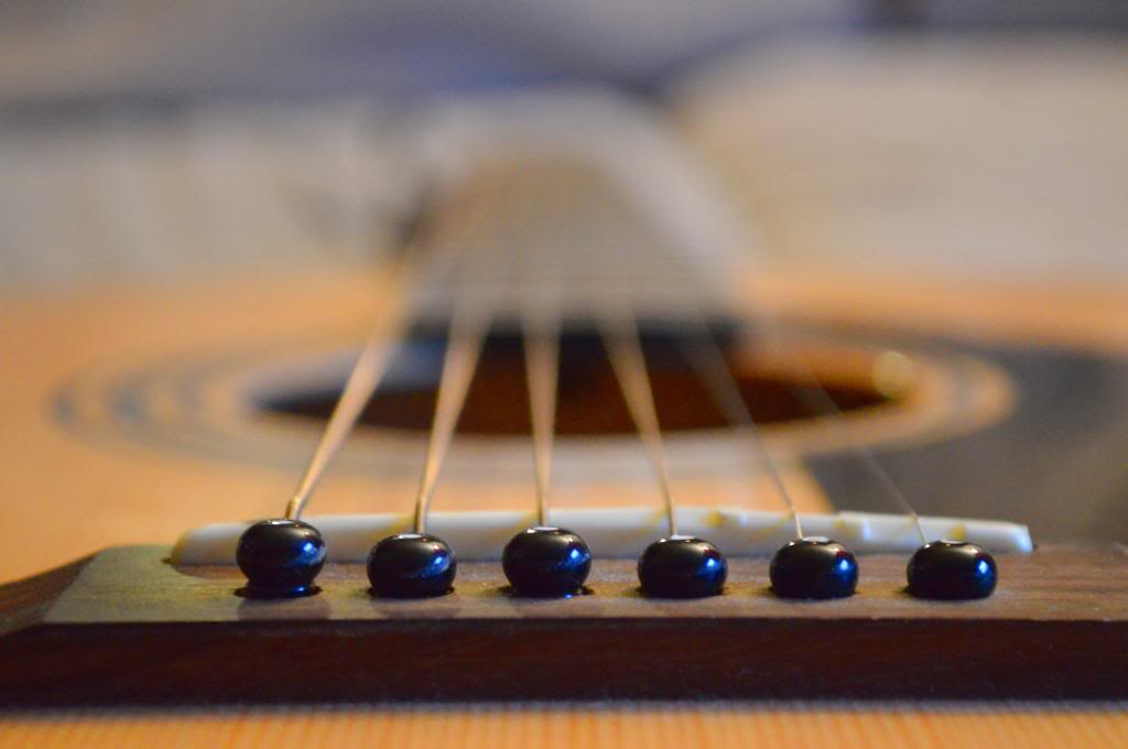 Name: DSC_0078_zpsb566b267.jpg
Views: 130
Size: 39.2 KB