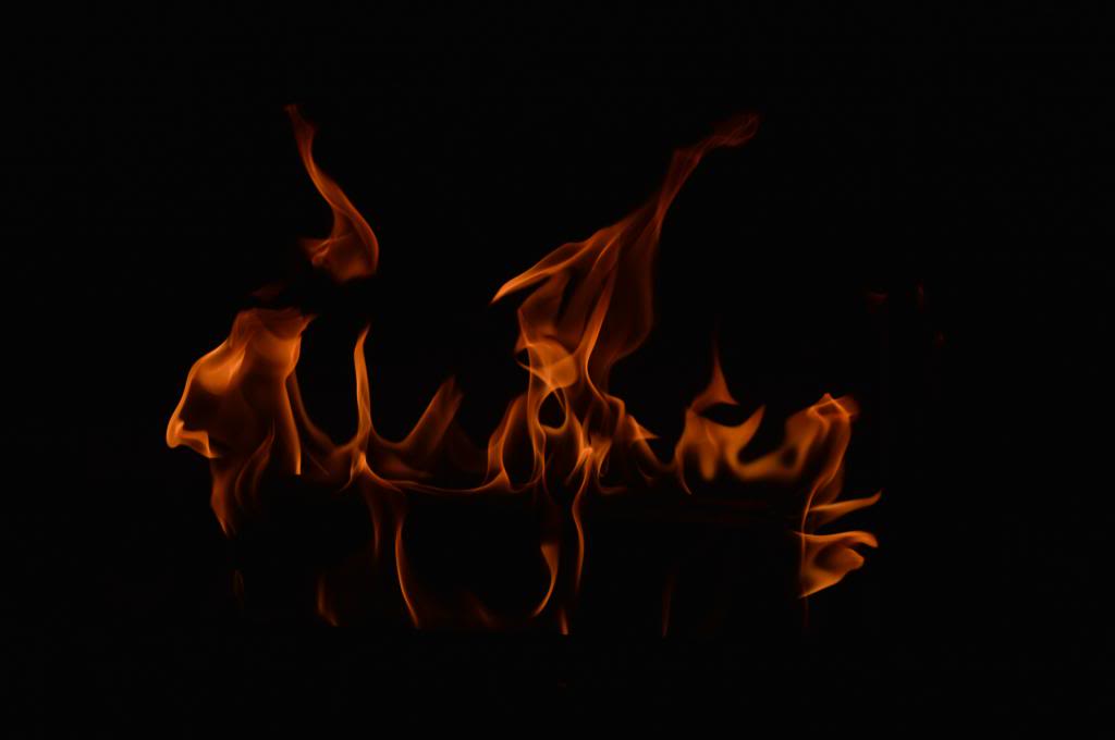 Name: DSC_0098_zps1a8653f3.jpg
Views: 107
Size: 20.6 KB