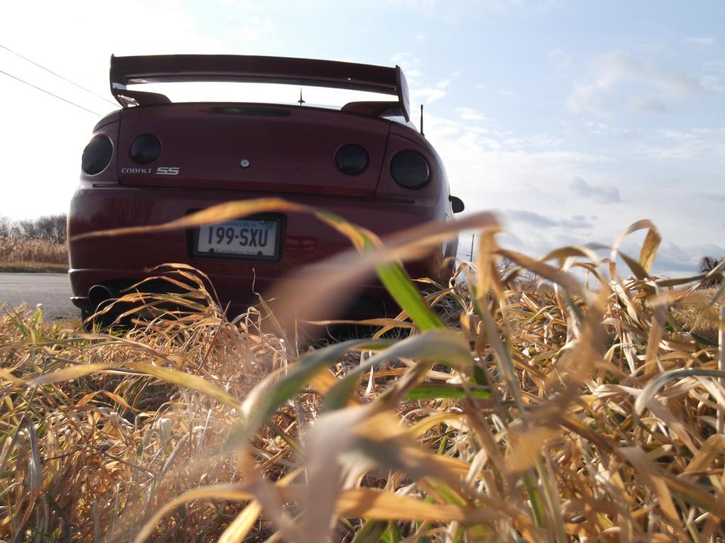 Name:  DSCF0193.jpg
Views: 99
Size:  108.3 KB