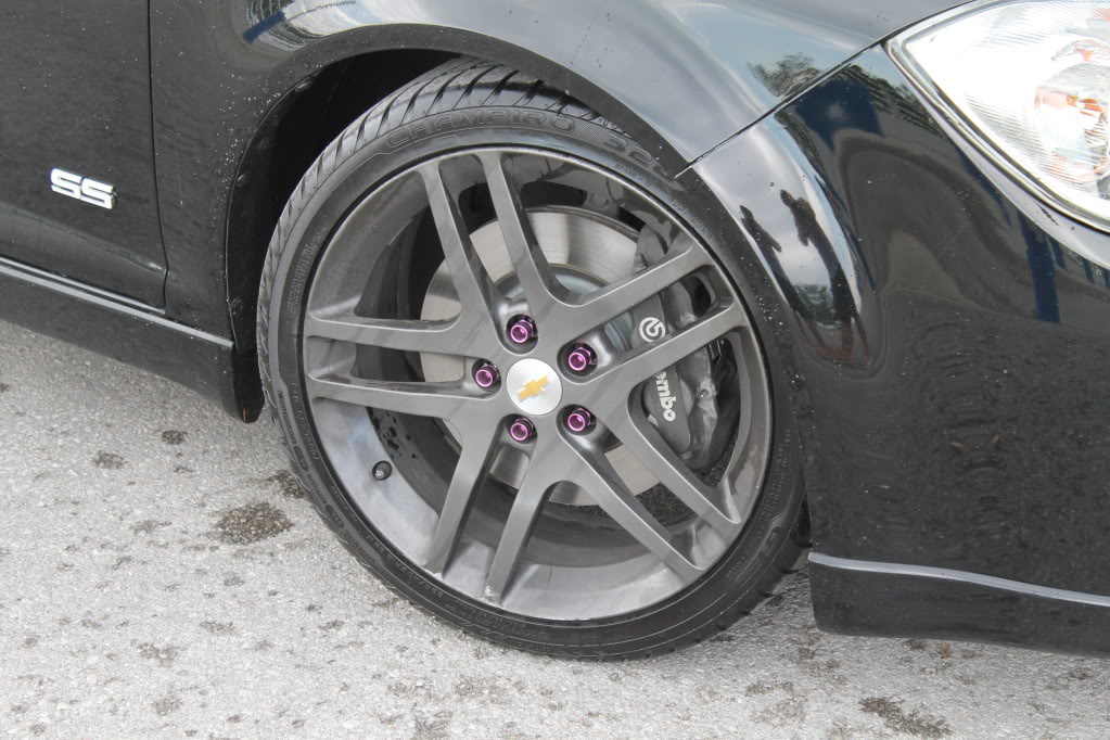 Name:  ErinsCamera152.jpg
Views: 32
Size:  148.3 KB