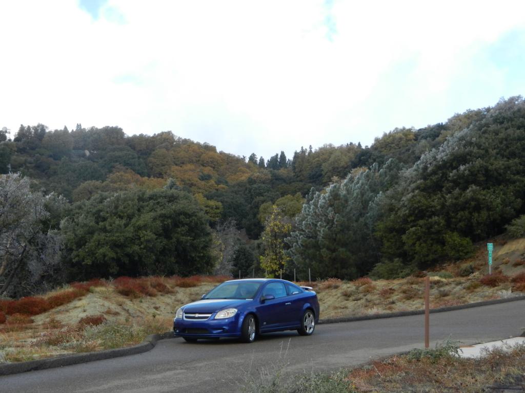 Name:  DSCN1798.jpg
Views: 75
Size:  88.1 KB