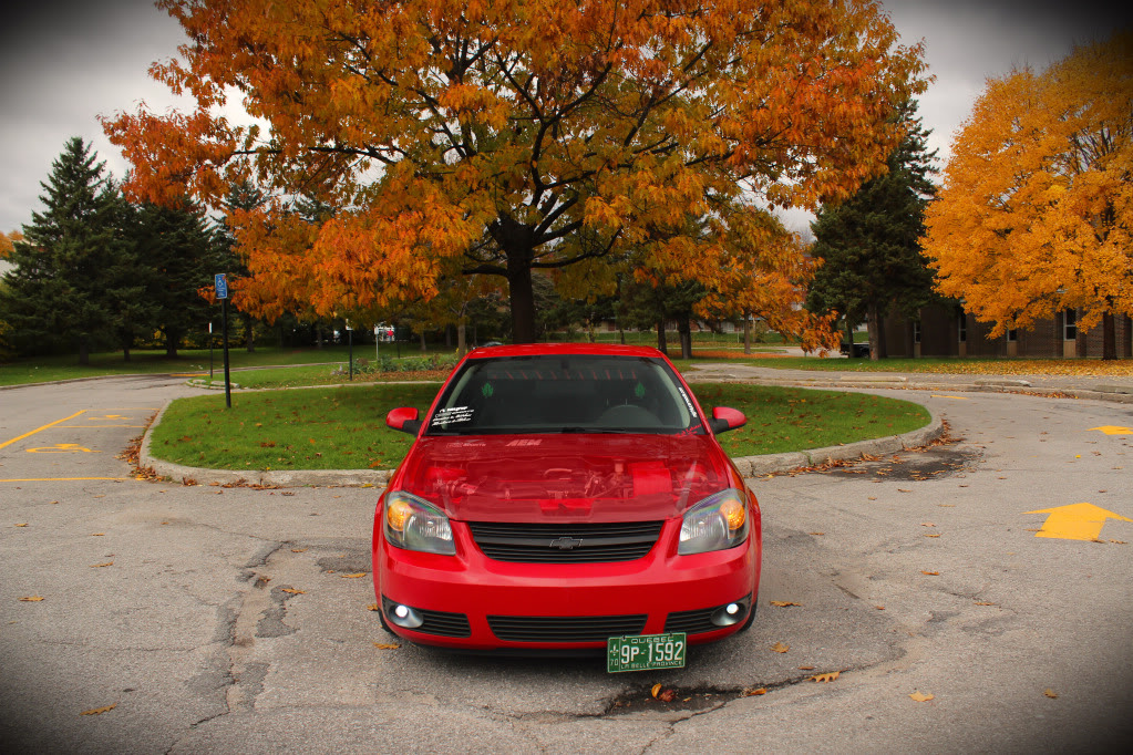 Name:  IMG_3388.jpg
Views: 46
Size:  335.9 KB