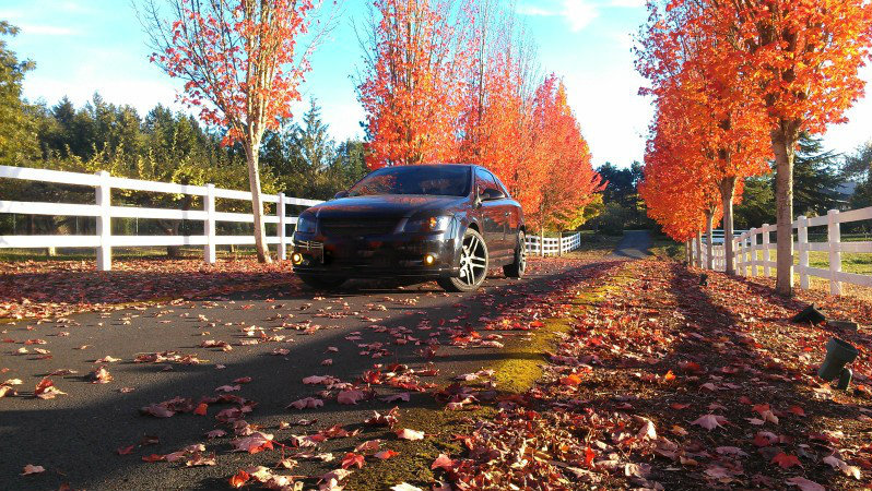 Name: IMAG3111_zps3d8dcb43.jpg
Views: 112
Size: 199.3 KB