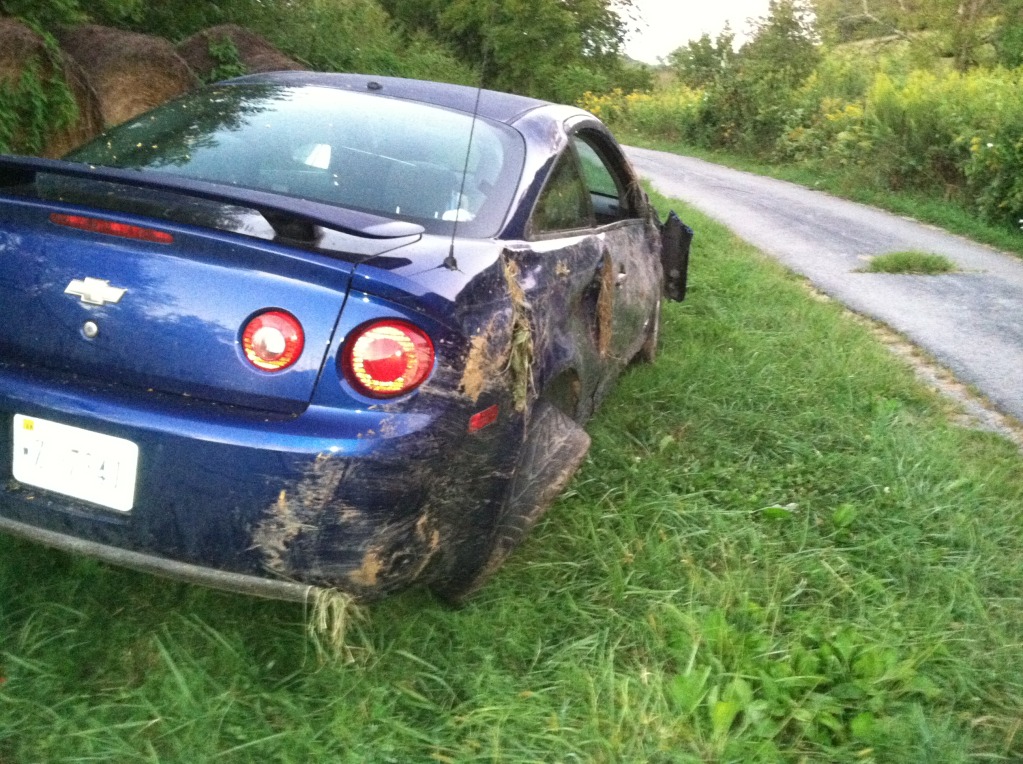 Name:  IMG_1634.jpg
Views: 109
Size:  296.6 KB