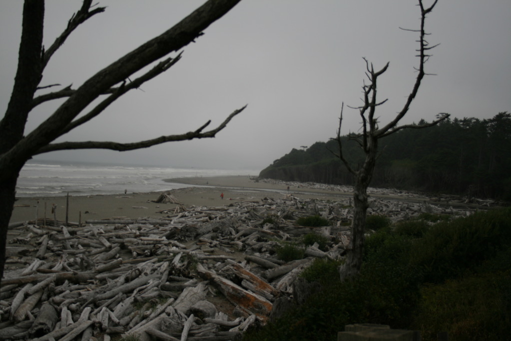 Name: IMG_3076.jpg
Views: 48
Size: 136.9 KB