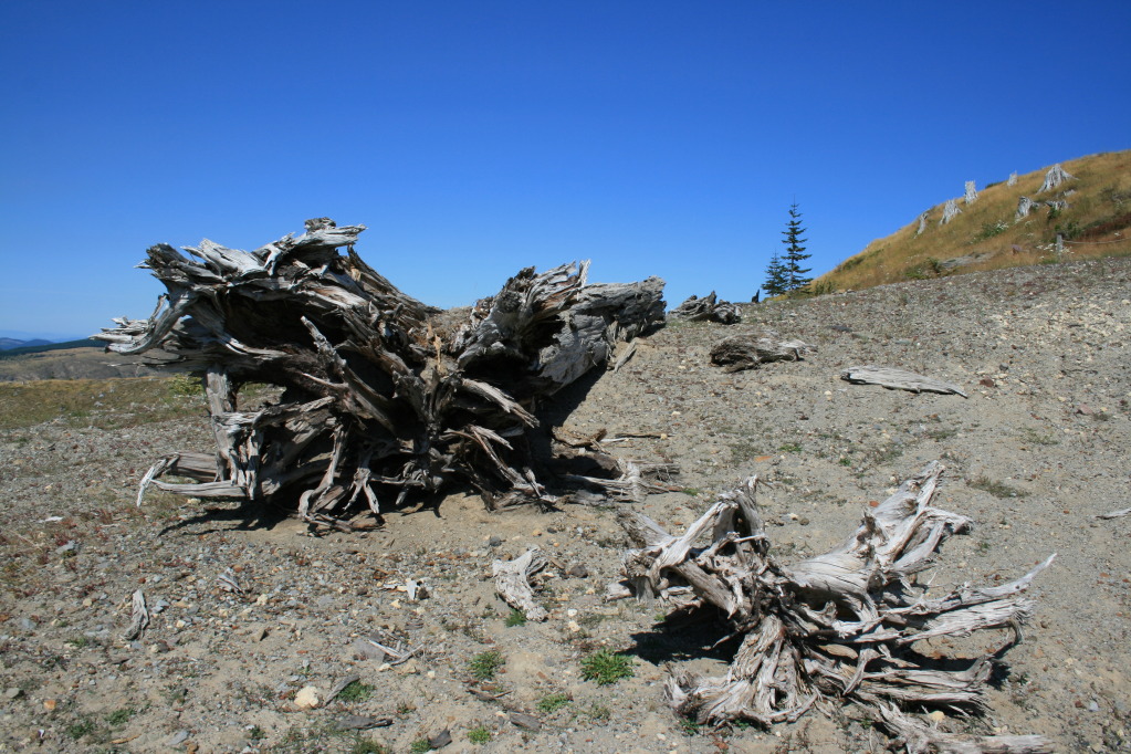Name: IMG_3511.jpg
Views: 47
Size: 284.0 KB
