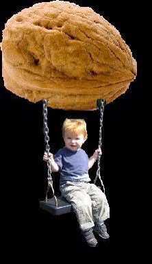 Name:  370F5F68-8879-4DE9-9989-B9474C628AF1-33701-00001D4339DC0D32.jpg
Views: 12
Size:  29.5 KB